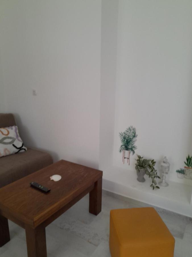 Apartmani Studio Apartmani Senjska Maslina 센 외부 사진