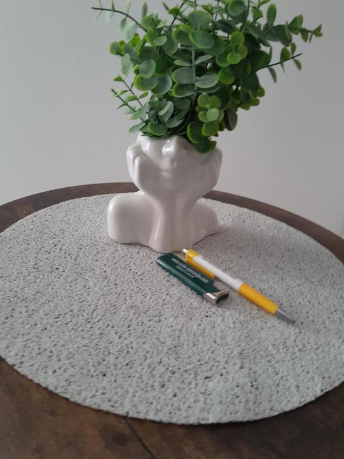 Apartmani Studio Apartmani Senjska Maslina 센 외부 사진