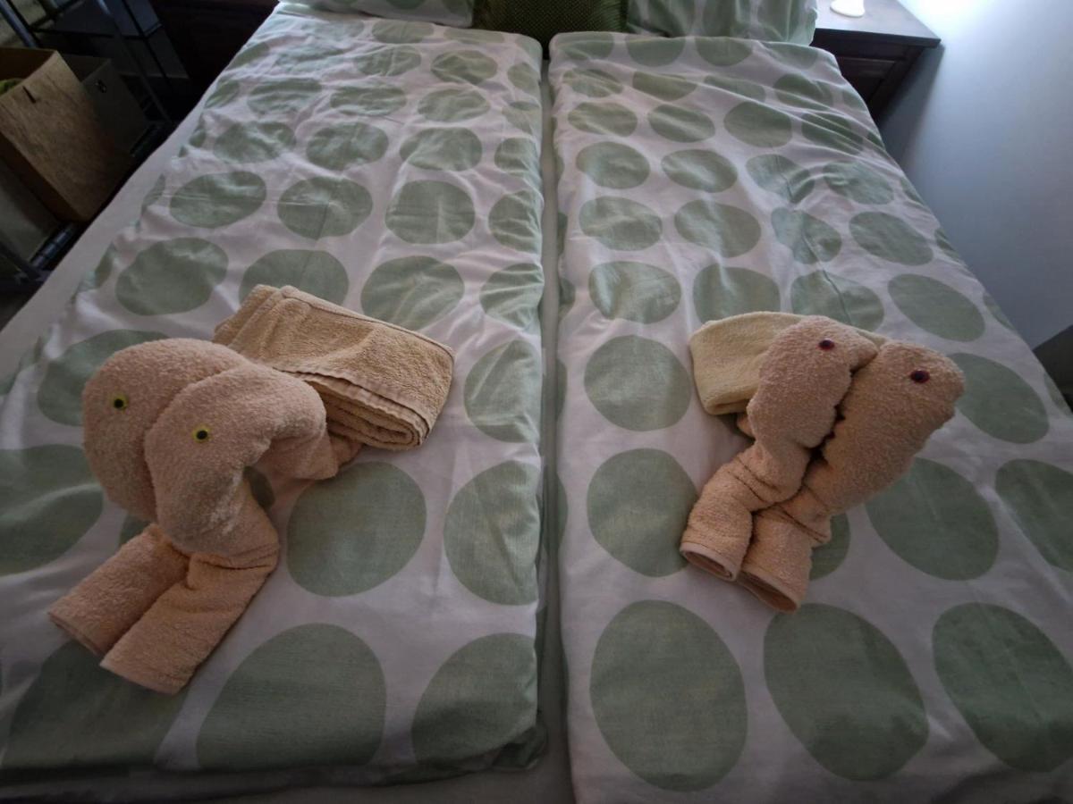 Apartmani Studio Apartmani Senjska Maslina 센 외부 사진