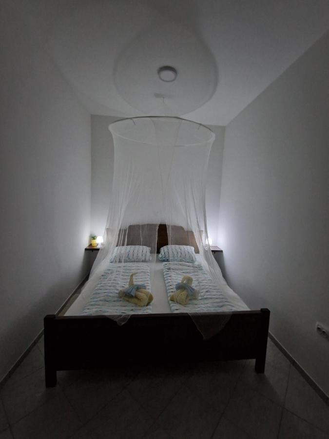 Apartmani Studio Apartmani Senjska Maslina 센 외부 사진