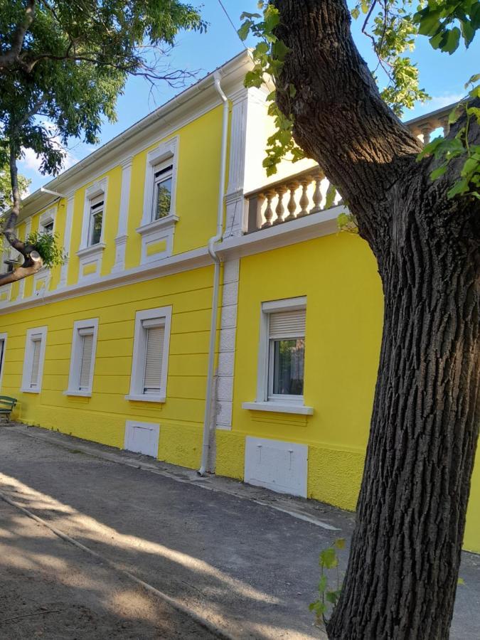 Apartmani Studio Apartmani Senjska Maslina 센 외부 사진
